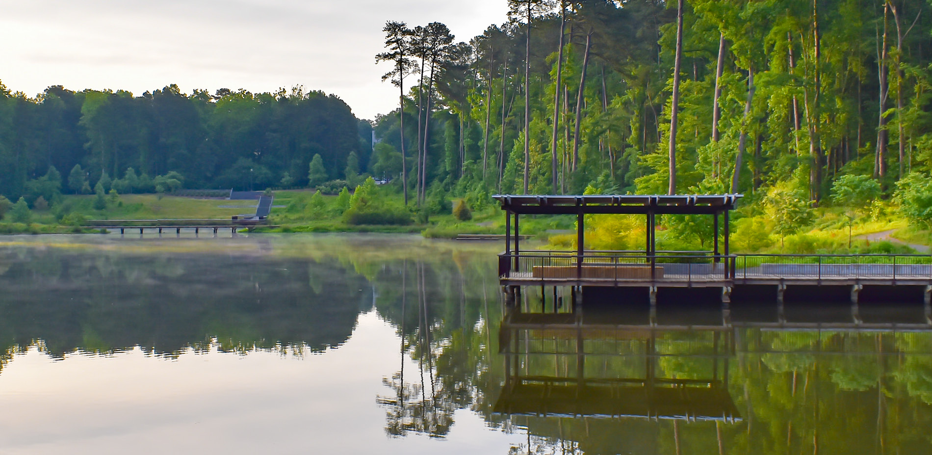 Duke University Water Reclamation Pond Image 13